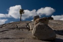 Yosemite