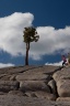 Yosemite